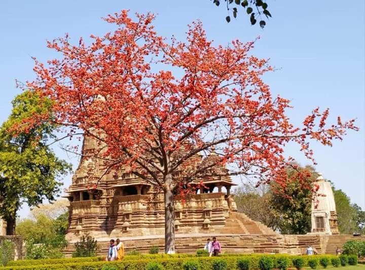 Namaste Homestay Khajuraho Exterior photo